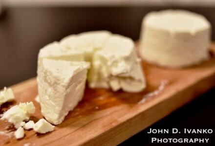 An Ecotourism Mini-Stop in Ann Arbor, Michigan Image